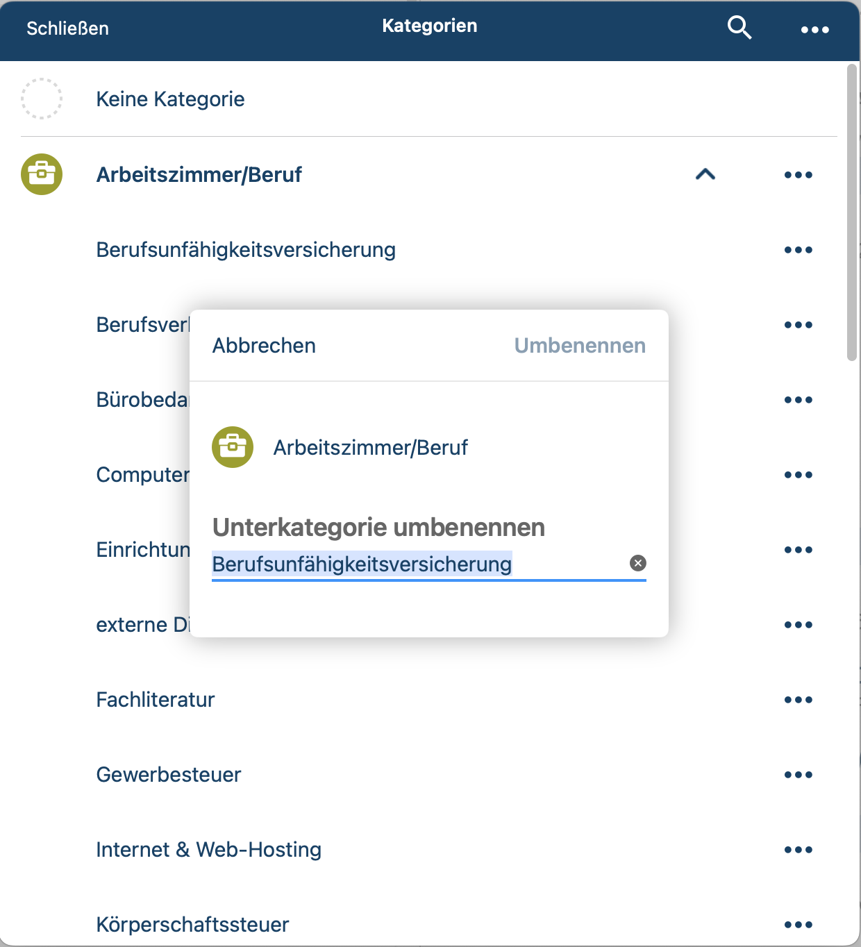 Unterkategorie umbenennen 2.png